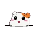 Nhãn dán