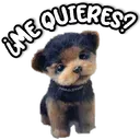 স্টিকার