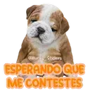 স্টিকার