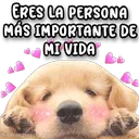 স্টিকার