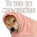 স্টিকার