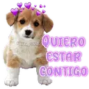 স্টিকার