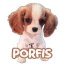 স্টিকার