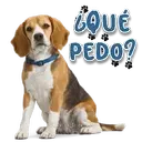 স্টিকার