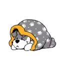 贴纸