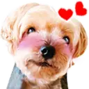 ស្ទីកเกอร์