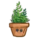 Стикер