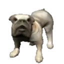 สติกเกอร์