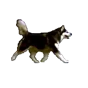 สติกเกอร์