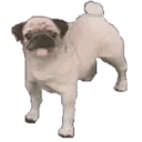 สติกเกอร์