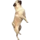 สติกเกอร์