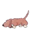 สติกเกอร์