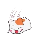 Nhãn dán