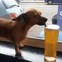 Стикер