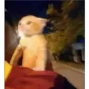 Naljepnica