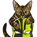 ஸ்டிக்கர்