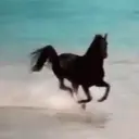 מדבקה