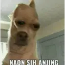 Çıkartma