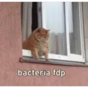Figurinha