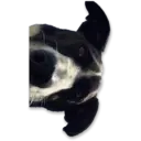 Стикер