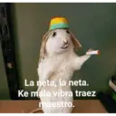 Стикер