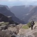 ملصق