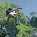 ملصق