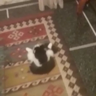 ملصق