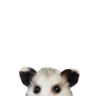 Límmiði
