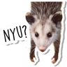 Límmiði