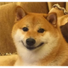 Samolepka