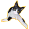 Límmiði